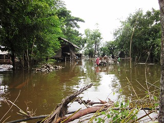 カンボジア洪水2011年