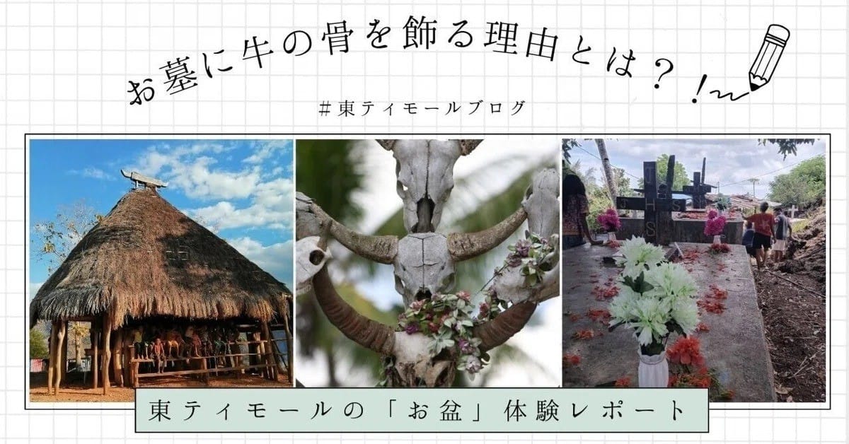 お墓に牛の骨を飾る理由とは？！　東ティモールの「お盆」体験レポート