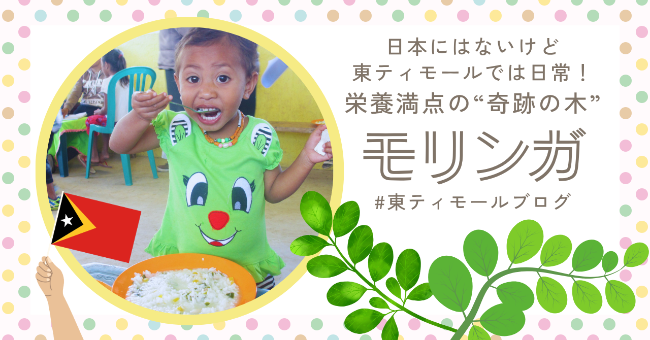 【東ティモール事業ブログ】日本にはないけど東ティモールでは日常！ 栄養満点の“奇跡の木”モリンガ
