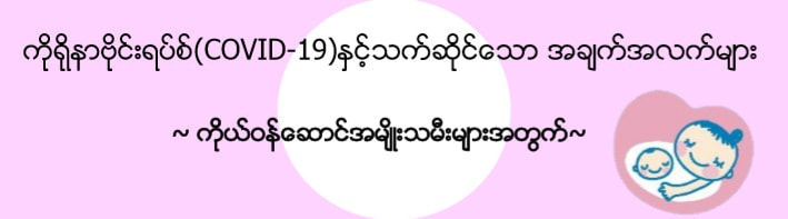 Burmese2
